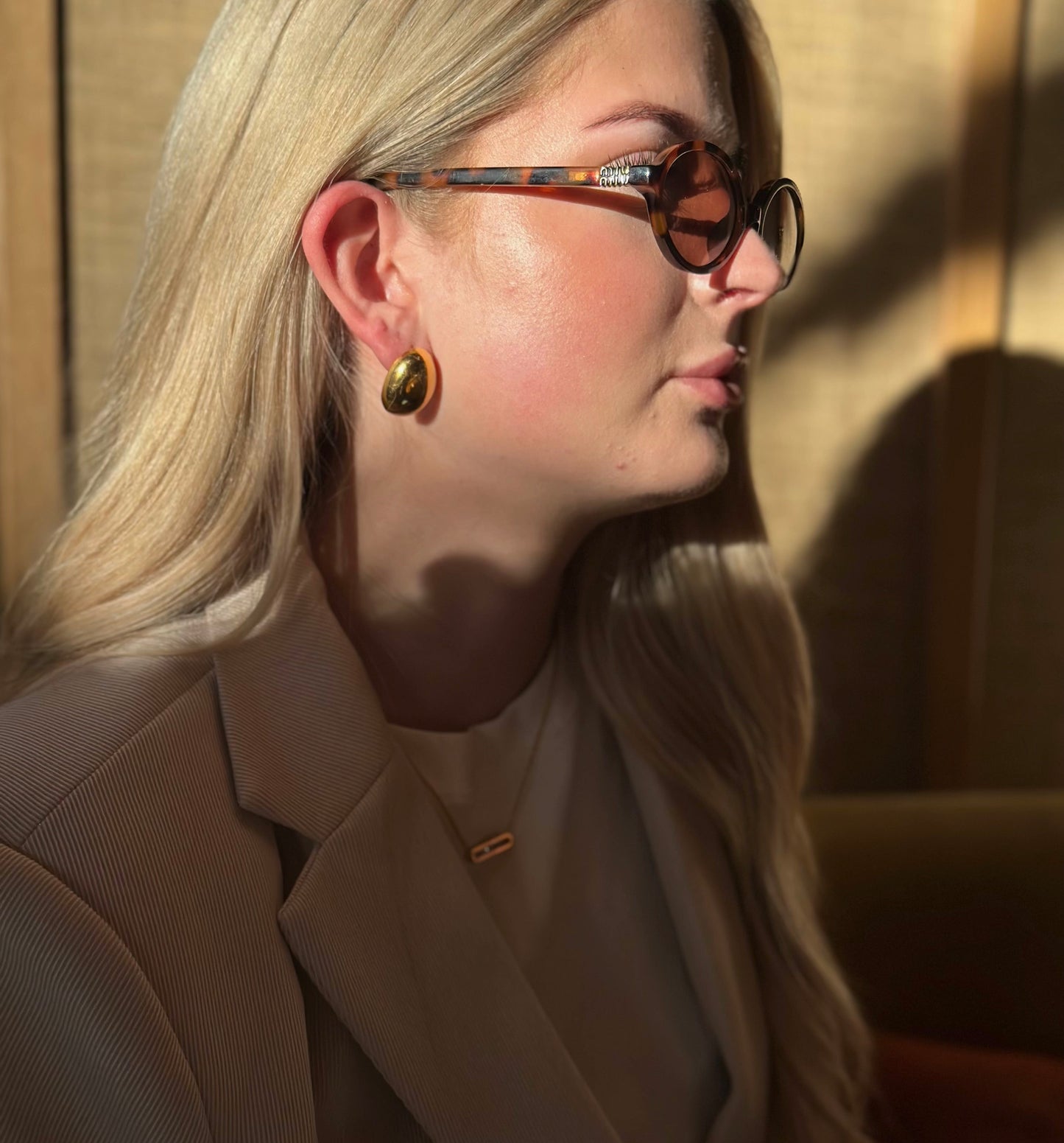 Chunky Oval Earrings 